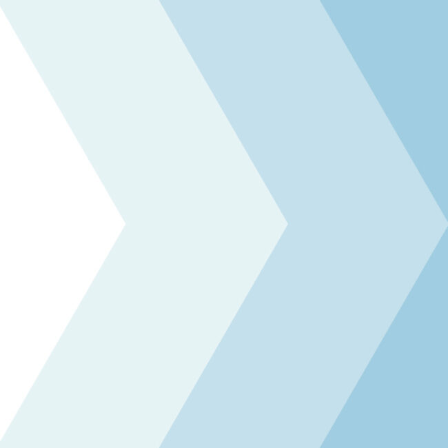 Doris Duke light blue chevron pattern graphic