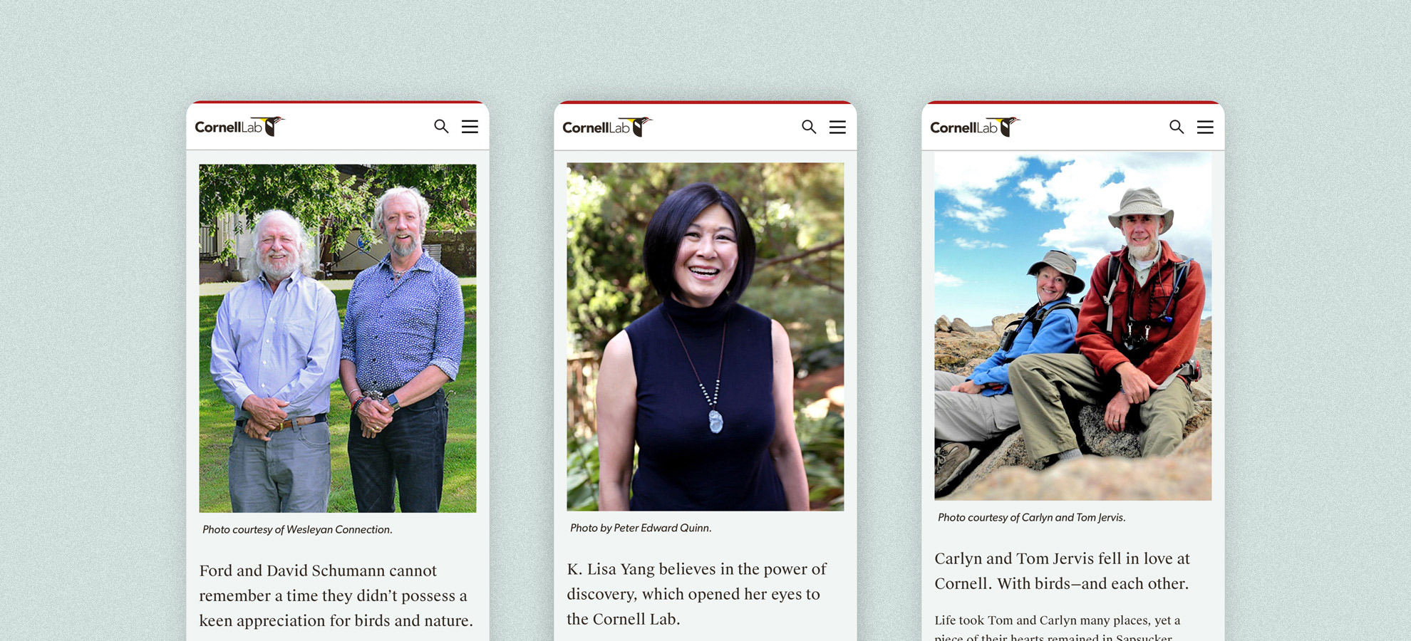 Three phone screens displaying donor stories from the Cornell Lab of Ornithology annual report.