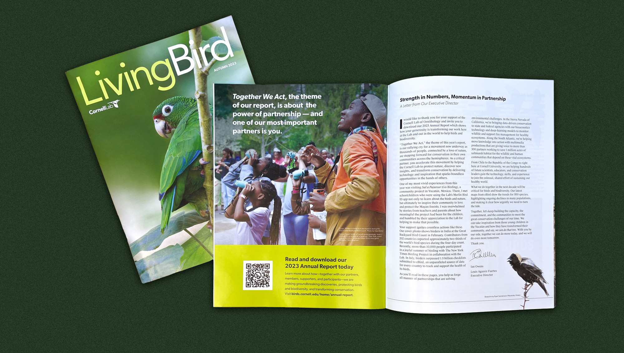 A spread from the Living Bird magazine preview of the Cornell Lab of Ornithology annual report, superimposed on top of the magazine cover.