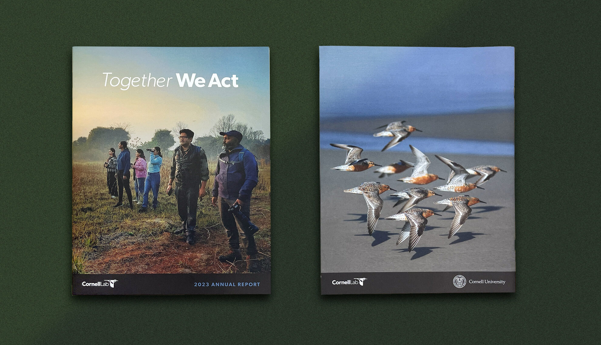 Front and back cover of the Together We Act printed annual report.